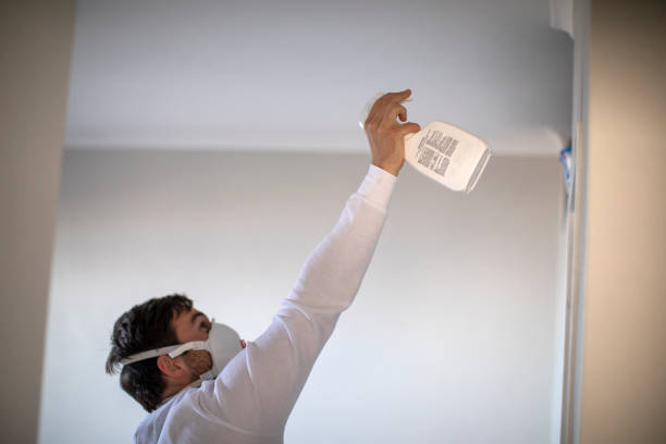 Best Mold Damage Repair  in Waretown, NJ