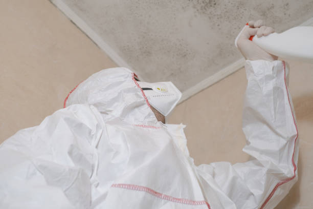 Best Commercial Mold Removal  in Waretown, NJ